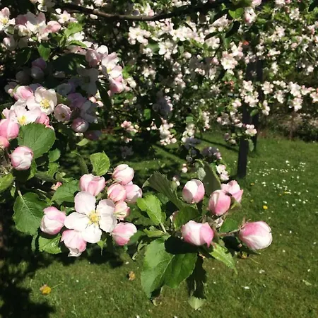 Lägenhet Holiday-skagen
